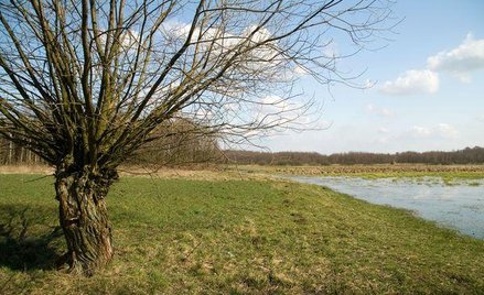 Mazowsze nie straci unijnych pieniędzy