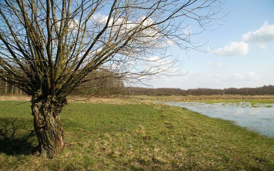 Janosik może być szczuplejszy