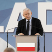 Marek Migalski: Rewolucyjny zapał PiS-u opadł