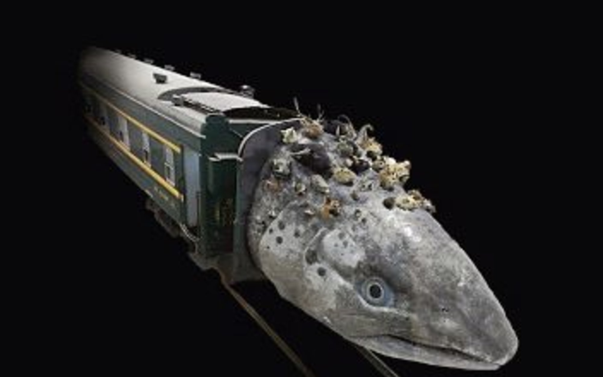 „Tajemniczy pociąg”: Kafka jedzie pociągiem