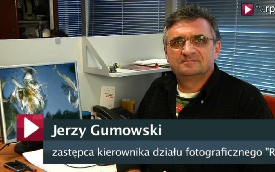 World Press Photo: Nagroda główna to kompromis