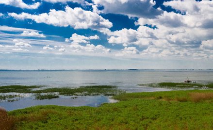 Łóżkowy protest przeciwników przekopu Mierzei Wiślanej