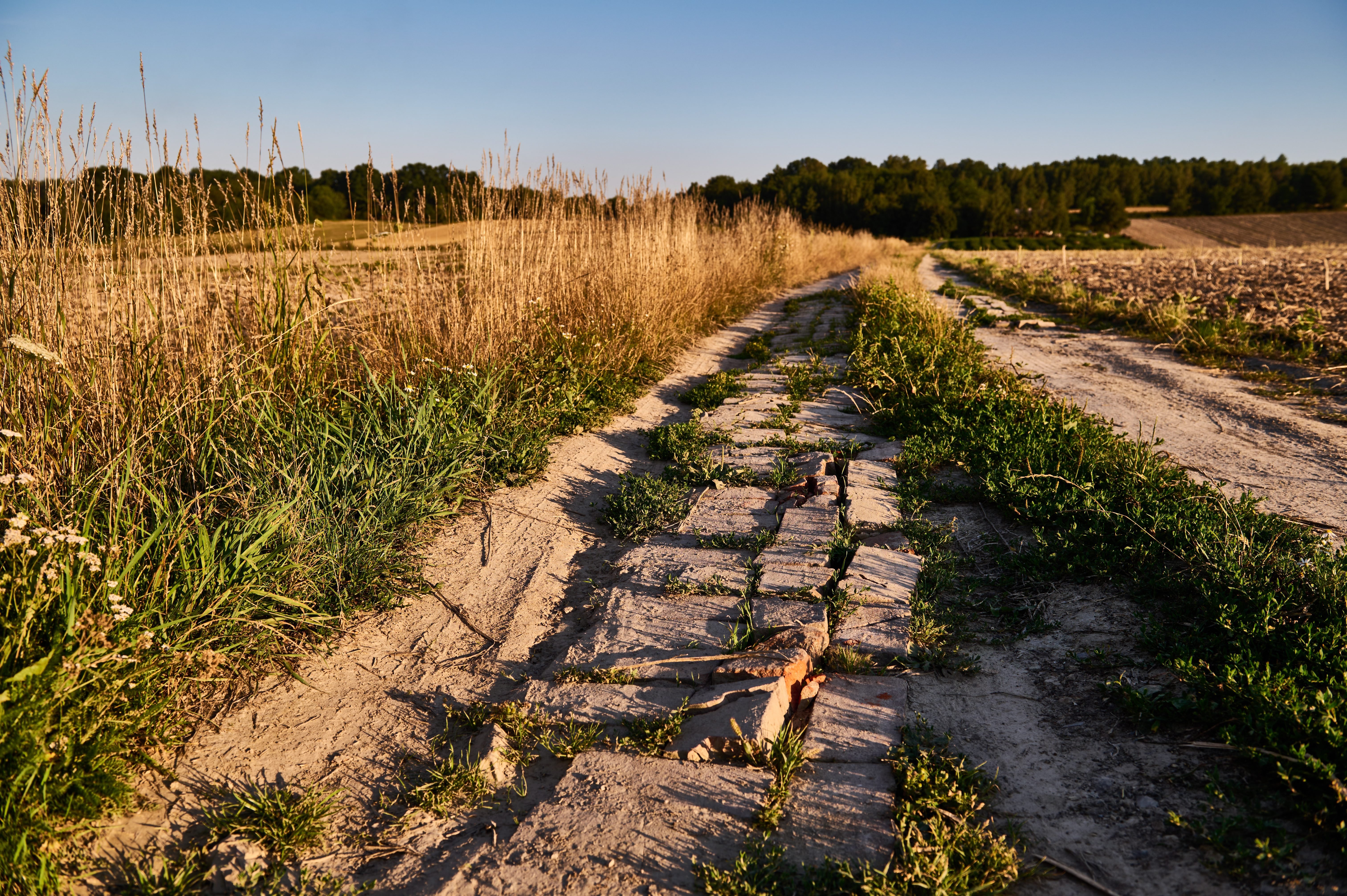 Kraina spierzchniętych ust, kiedyś nazywana Europą