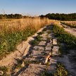 Susza rolnicza obejmuje dziś prawdopodobnie dwie trzecie terytorium Polski. Co gorsza, stopniowo pog