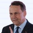 Elon Musk i Radosław Sikorski