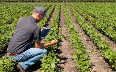 Innowacje w rolnictwie polegają nie tylko na używaniu nowoczesnych maszyn czy technologii GPS, ale n