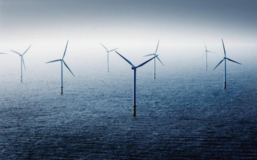 W 2012 r. moc morskich farm wiatrowych w Europie doszła do 4,5 gigawata