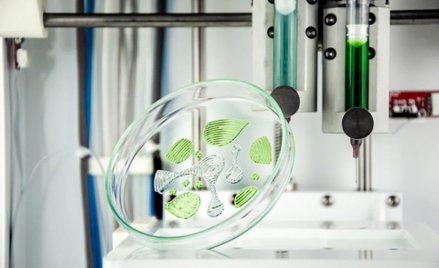 Sygnis: Gorący początek roku