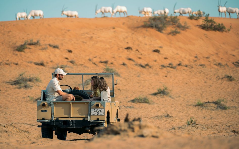 Pustynia Al Wadi to jedna z atrakcji emiratu