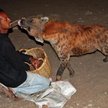 Etiopia - nocny czat z hienami