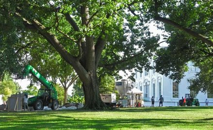 Panele słoneczne na Białym Domu