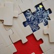 Obywatel dochodzi do głosu - o referendum konstytucyjnym