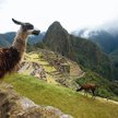 Machu Picchu było „letnią rezydencją” dziewiątego króla Inków (fot. Karel Navarro)
