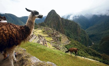 Machu Picchu było „letnią rezydencją” dziewiątego króla Inków (fot. Karel Navarro)