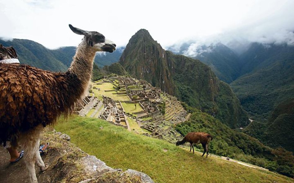 Machu Picchu było „letnią rezydencją” dziewiątego króla Inków (fot. Karel Navarro)