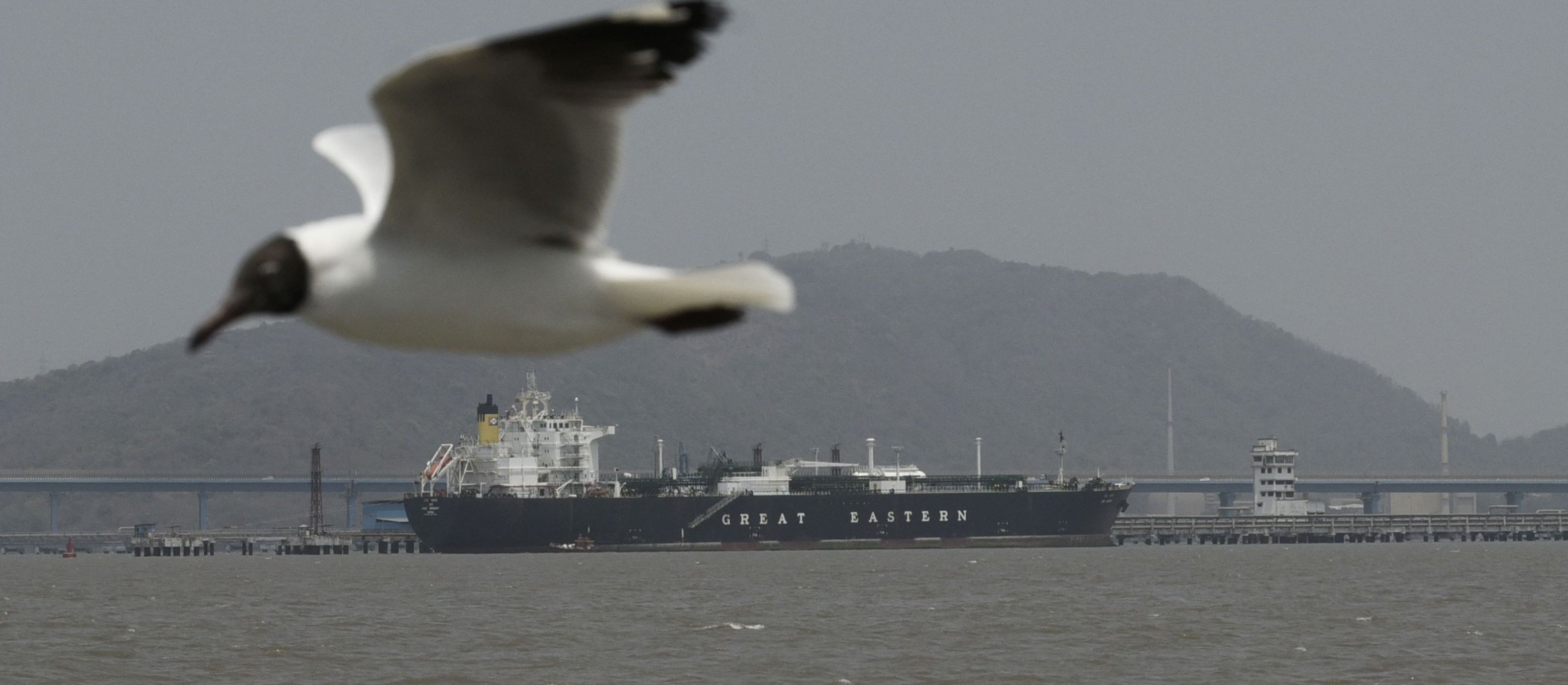 Strażnicy Rewolucji o zamknięciu cieśniny Ormuz. „Odpowiedź na piractwo i blokadę USA”