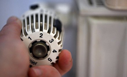 Austria przeciw zakazowi importu gazu z Rosji. Opowiada się za "innymi opcjami"