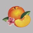 Phoenix Bankrupt!, Warner Music Poland, CD 2013