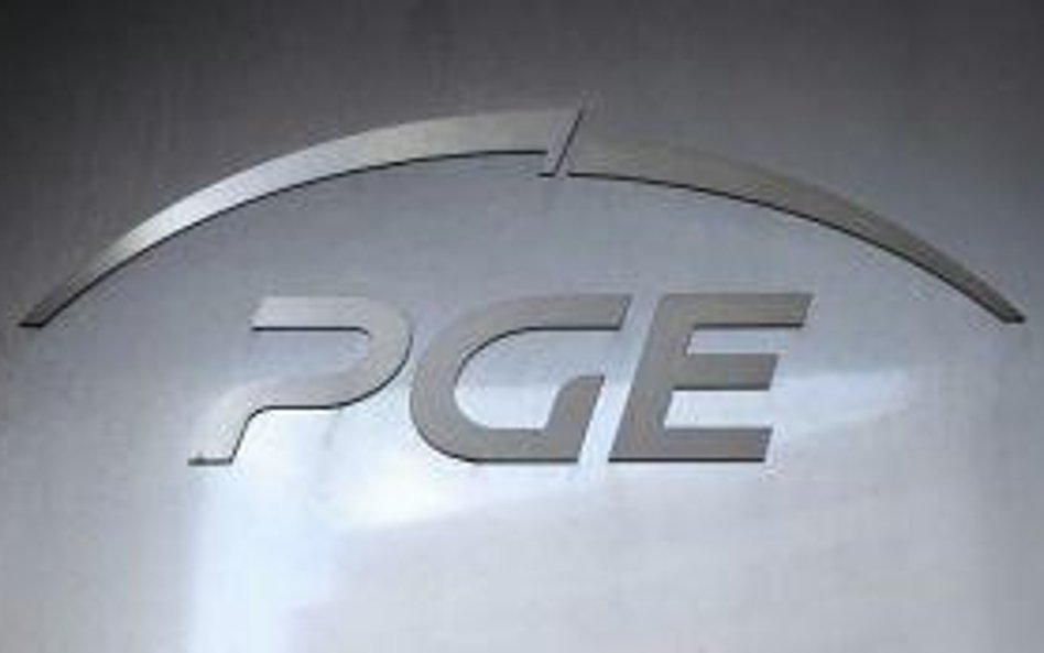 PGE: O losach inwestycji w Elektrociepłowni Wrotków zdecydują analizy ekonomiczne