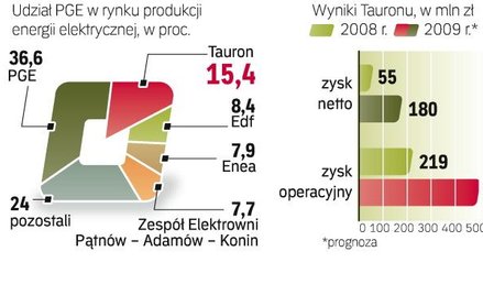 Tauron chce wejść na GPW do połowy 2010 r. Spółka może pozyskać z oferty publicznej ok. 3 – 4 mld zł