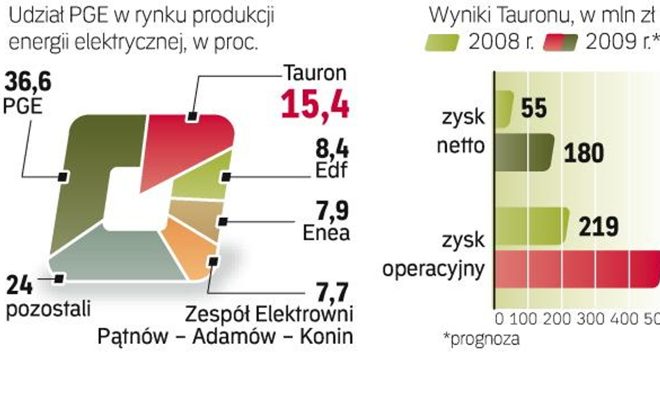 Tauron chce wejść na GPW do połowy 2010 r. Spółka może pozyskać z oferty publicznej ok. 3 – 4 mld zł