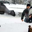 Problemy ptaków nadwiślańskich krzewów