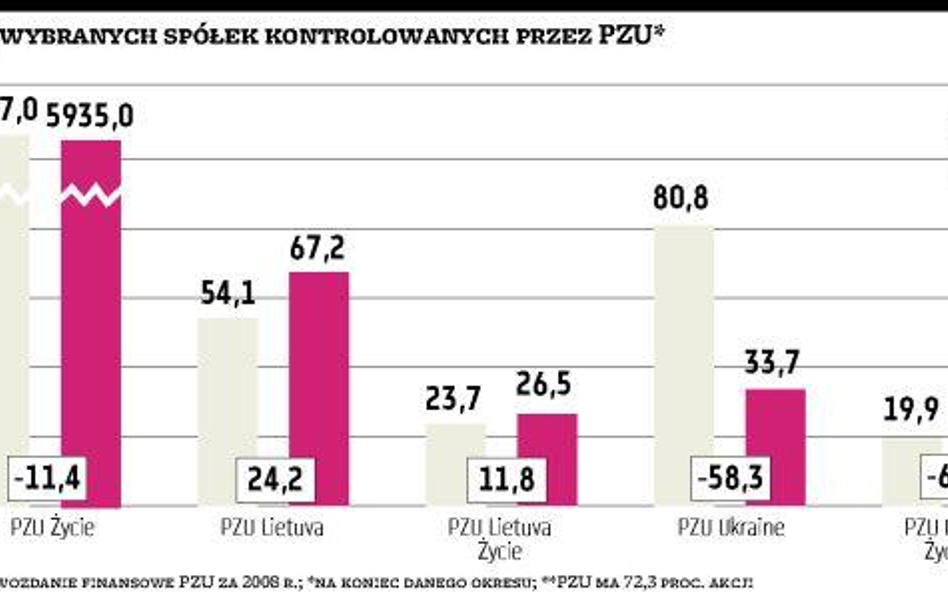 Wycena PZU Życie w dół o 800 mln zł