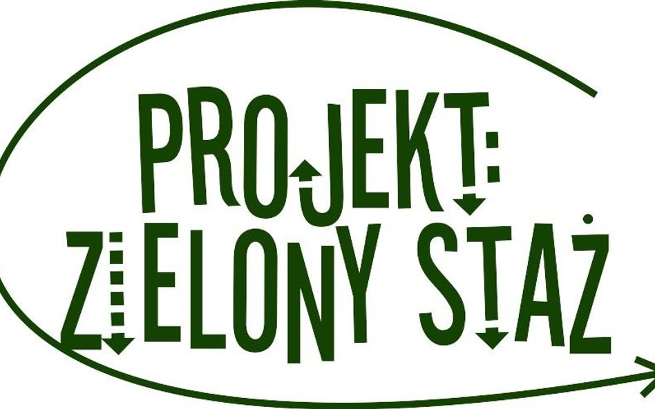 Własny projekt na zielonym stażu