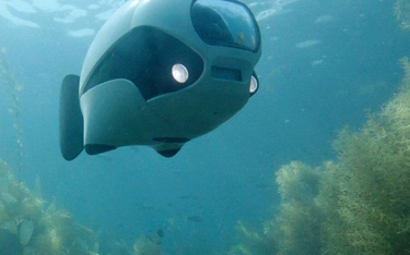 Inżynierowie konstruujący podwodne drony wzorują je na rybach