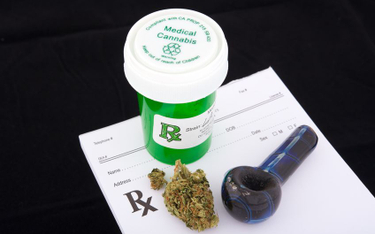 Medyczna marihuana - lekarze będą się uczyć, jak przepisywać