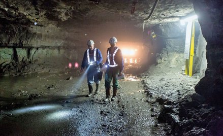 KGHM trzyma formę mimo globalnych zawirowań