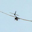 Atak amerykańskiego drona w Pakistanie