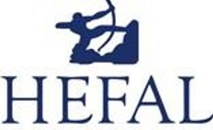 Mocne wejście Hefalu na NewConnect