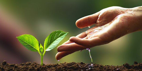 Wkrótce nowy ranking liderów odpowiedzialnego zarządzania!