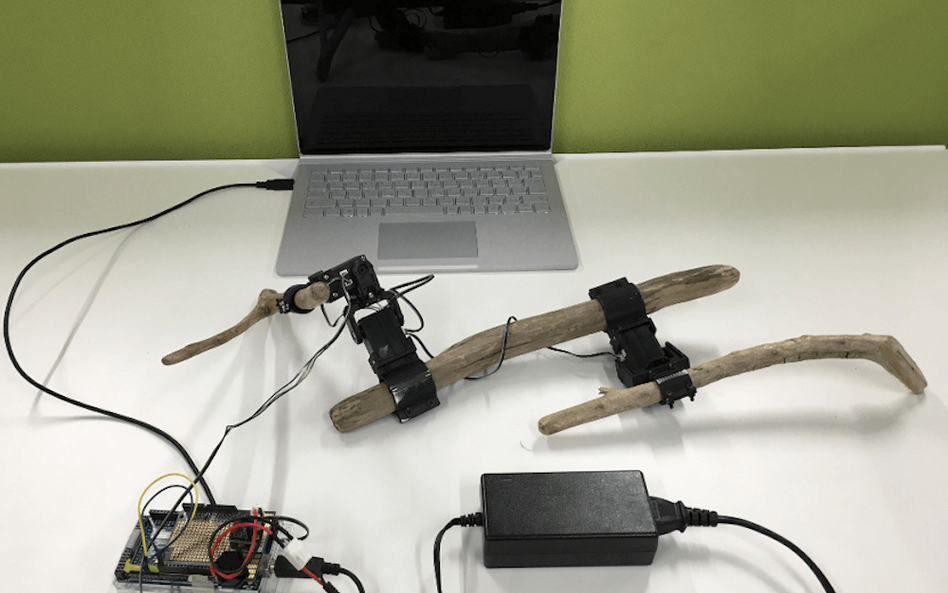 Japończycy zbudowali robota z gałęzi. I nauczyli go chodzić