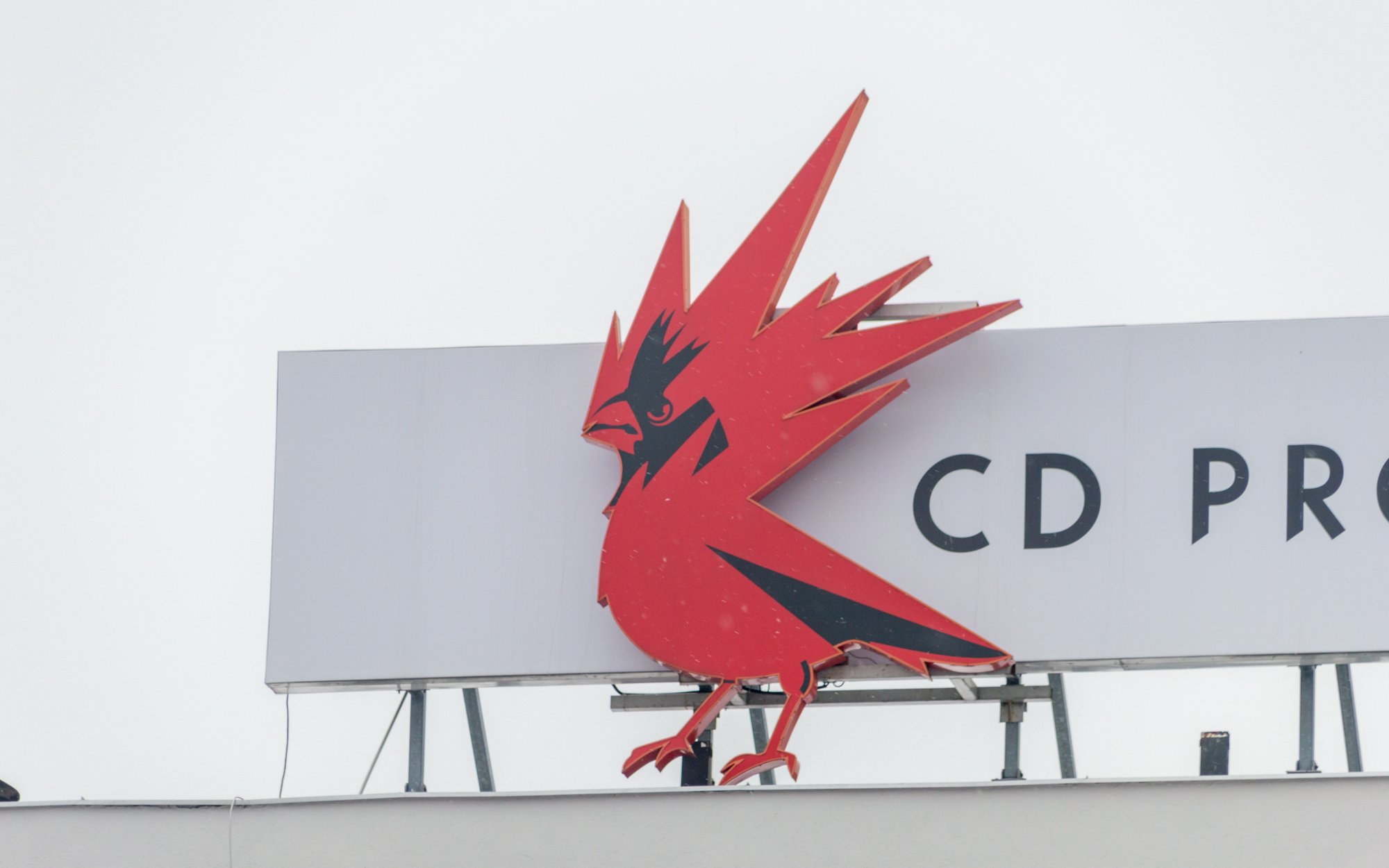 CD Projekt zaskakuje, kurs wystrzelił. Czwarty Wiedźmin coraz bliżej