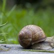 Mało mieszkań z dopłatą dla singli