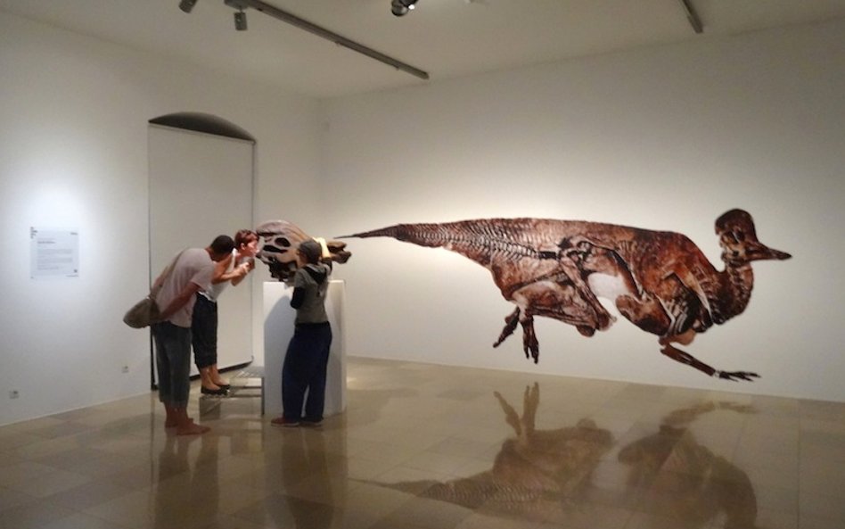 Dinozaur Courtneya Browna i Shariffa Razzaque