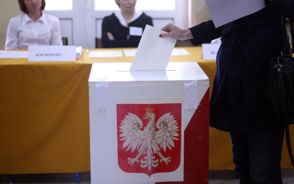 O przedmiocie referendum gminnego można poinformować elektronicznie