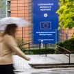 Martwa linia frontu brexitu