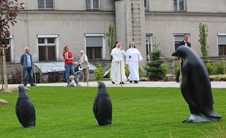 Dagmara Jaszewska: Między reformą a relacją. Kto ukocha chłopaków z Broniszewic?