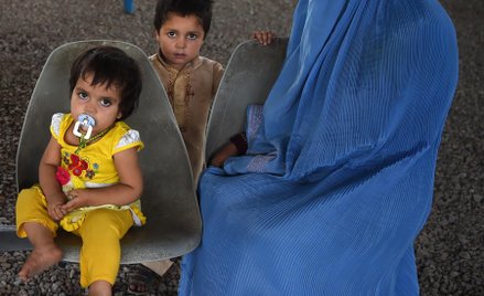 Aleksander Hall: O jaki naród walczymy