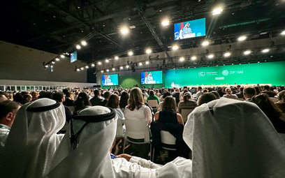 Gospodarzem tegorocznego szczytu klimatycznego był Dubaj.