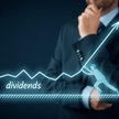 Rok rekordowych dywidend