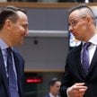 Ministrowie spraw zagranicznych Polski, Radosław Sikorski (z lewej) i Węgier, Peter Szijjarto, podcz