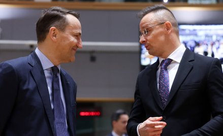 Ministrowie spraw zagranicznych Polski, Radosław Sikorski (z lewej) i Węgier, Peter Szijjarto, podcz