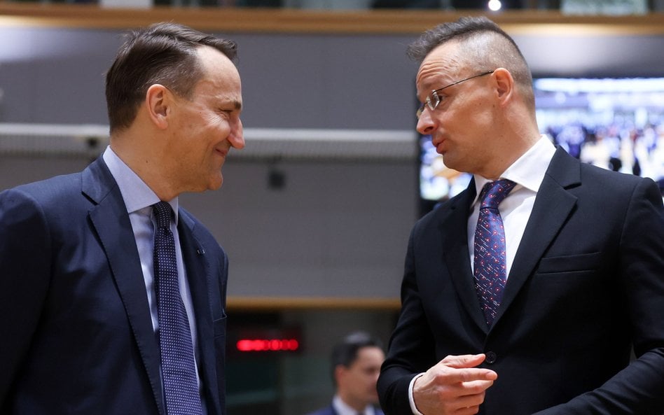 Ministrowie spraw zagranicznych Polski, Radosław Sikorski (z lewej) i Węgier, Peter Szijjarto, podcz
