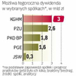 Tegoroczne przychody Skarbu Państwa z prywatyzacji oraz dywidend mają wynieść w sumie 10 mld zł. Nie