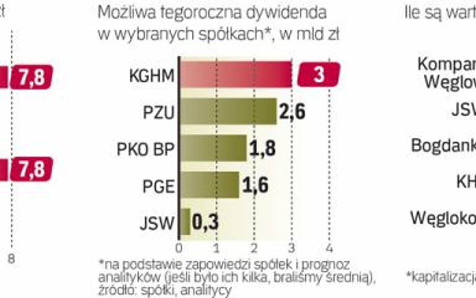 Tegoroczne przychody Skarbu Państwa z prywatyzacji oraz dywidend mają wynieść w sumie 10 mld zł. Nie