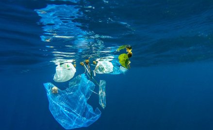 Urzędnicy walczą ze śmieciami